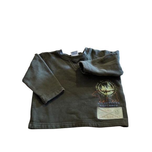 Carter's Other - Carter’s Vintage Green Heavyweight Sweatshirt 2T